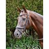 Rhinegold Pro-Anatomic Flash Bridle, Black