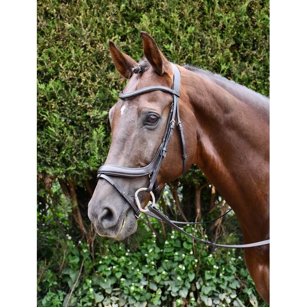 Rhinegold Pro-Anatomic Flash Bridle, Black