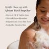 Shea Radiance African Black Soap Bar 3 Pack (Citrus & Tea Tree)