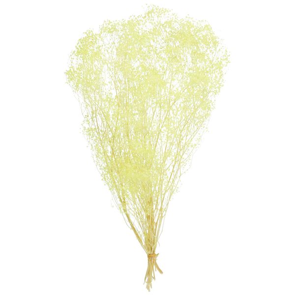 Daichi Farm DO00010-510 Preserved Flowers, Soft Mini Gypsy Grass (0.8 oz (22 g), Cream