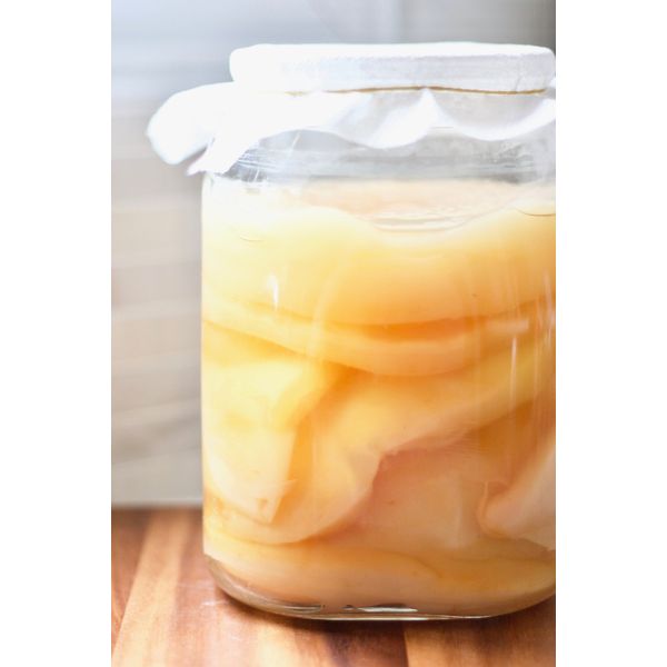 Medium Certified Organic LAB Tested Scoby Kombucha by Kombuchaorganic® Unique Cultures