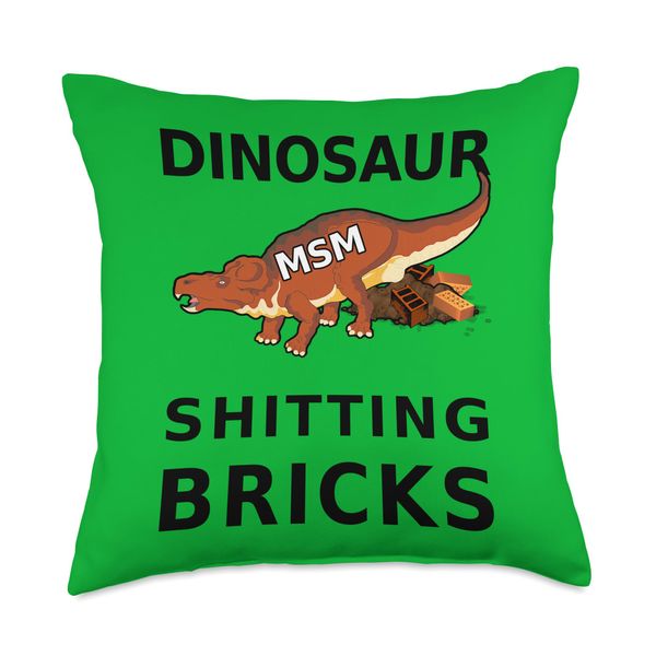 45 take 2 Dinosaur MSM is Shitting Bricks Throw Pillow, 18x18, Multicolor