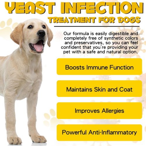 Yeast Infection Treatment for Dogs, Natural Dog Yeast Infection Treatment Supports Itch Relief, Ear Infection, Allergy Relief, Pet Supplies Dog Herbal Supplement, Bacon Flavor
