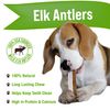 Buck Bone Organics Elk Antler Split Dog Chew (Medium)