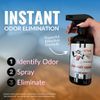 The Stink Solution For Any Odor Eliminating Spray Coconut Mango 2 16 oz Bottles