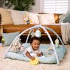 Ingenuity Calm Springs Plush Activity Pal BPA-Free Cloud Teether, Multi-Texture Fabrics, Sheppy