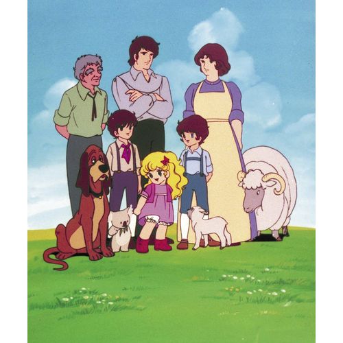 Anime Library 95 ND Collection redyizyo-zixi that DVD < dezitarurimasuta-. Collectors Edition >