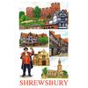 Kevin Robinson Collection Shrewsbury Tea Towel
