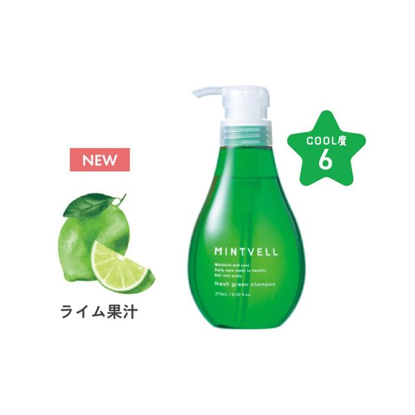 Suncourse Salon Exclusive Mint Bell Fresh Green Shampoo, 19.7 fl oz (550 ml) (Renewed in 2023)