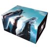 FF-TCG Anniversary Collection Set 2024 Japanese Edition