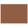 Vallejo Light Rust FS30117 Paint