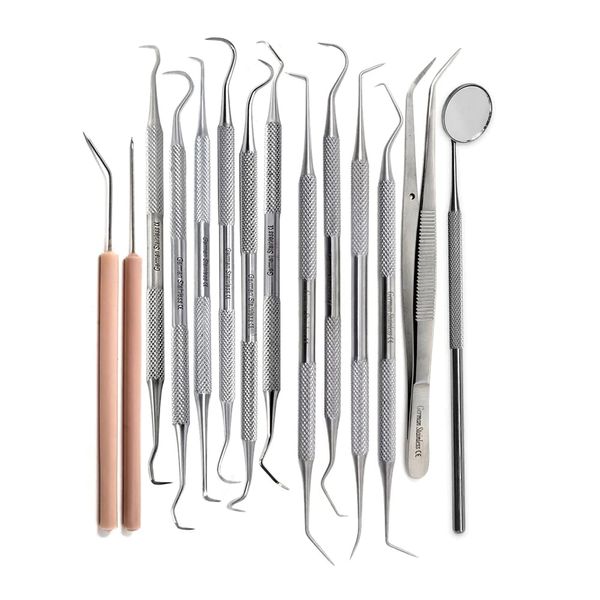 Plaque Remover Kit Set of 14 Oral Hygiene Tools Professional Dental Picks Double & Single Ended Picks with Mouth Mirror & Tweezers for Gum Care Cleaning Set Stainless Steel with Carrying Case