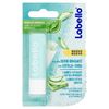 Moisturizing Scrub - Lip Balm with Aloe Vera