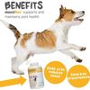 Maxxiflex+ Hip & Joint Supplement for Dogs – Glucosamine, MSM, 60 Tablets