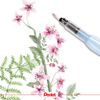 Pentel Medium Aquash Brush (Pack of 10)
