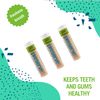 Preserve Flavored Toothpicks, Mint Tea Tree, 3 Count