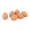 Egg 6 Pack Plastic Brown VF1239BR Food Sample Fake Food Display Eggs Easter