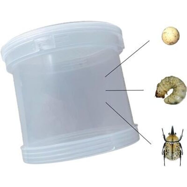 UwilViwl Beetle Reptile Terrarium Kit, Plastic Cricket Keeper for Bugs,...