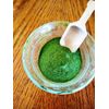 Wheatgrass Powder (Triticum aestivum) Organic 1 oz