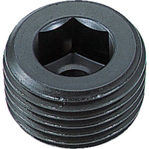 TRUSCO(トラスコ) テーパー沈みプラグ サイズPT1/8 19個入 B83-0118