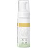 Burt's Bees Refreshing Foaming Cleanser and Natural Face Wash with Cucumber and Mint, 4.8 Fl Oz