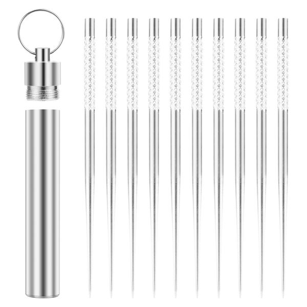 Prasacco 10 Pieces Stainless Steel Toothpicks with Toothpick Holder Case, Waterproof Toothpick Portable Metal Toothpick Fruit Picks with Keyring for Outdoor Picnic Camping Traveling Supplies