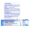 Causticum, 6C, Incontinence Support, Approx 80 Pellets