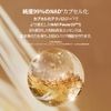 THE WHOO KONJINHYAN ELASTIC TRIAL KIT