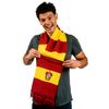 AAA Merchandise Harry Potter: Gryffindor Bold Stripes Scarf
