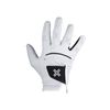PAYNTR X 002 Golf Glove Right Hand (Regular) (Medium/Large)
