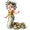 Safari Medusa