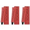 Schwarzkopf Igora Royal 3-65 Pack of 3 (3 x 60 ml)