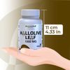 HallOlive leaf Extract 1000 mg - Immune Support - Herbal Supplements - 60 Cap