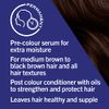 Schwarzkopf LIVE Colour + Moisture, Permanent Brown Hair Dye, For All Hair Textures, Keratin Plex to Strengthen and Protect Hair, Truffle Temptation MO5