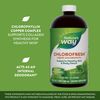 Nature's Way Chlorofresh Liquid Chlorophyll Internal Deodorant, Unflavored, 16 Fluid Ounce