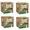 Kirkland Signature Dental Chews (4)