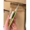 Command Large Picture-Hanging Strips, White, 4-Strips, (2-PACK)