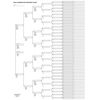 EASYGENIE Pedigree Chart (8 generations/256 names), single sheet