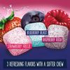 1x Bottle Wrigley's Extra Refreshers Berry Mix Gum | 40 Per Bottle | Sugar Free