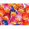 Chupa Chups Assorted Lollipops, 1 LB Bag