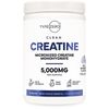TypeZero Creatine Monohydrate Powder 500 Grams, Blue Raspberry Flavor
