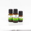Essential Oils Stain Permeable Herbal Scent Eucalyptus Radiator 0.5 fl oz (15 ml)