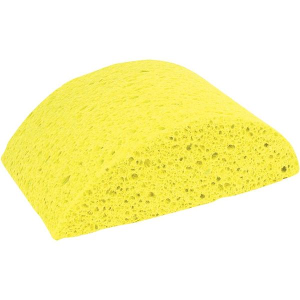 Masonry Sponge Turtleback