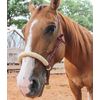 Heavy Duty Cowboy Rawhide Braided Noseband