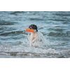 Chuckit Amphibious Bumper Fetch and Float Dog Toy, Medium (Assorted Colors)