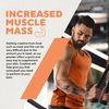 MyProtein Creatine Monohydrate, 500 g