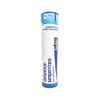 Boiron Gelsemium Sempervirens 9C for Apprehension with Trembling & Headachess - 80 Pellets