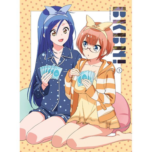 ぼくたちは勉強ができない! 3(完全生産限定版) [DVD]