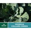 Collard Greens, Georgia - 100 Seeds - Heirloom Vegetable - Open Pollinated - Non