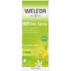 Citrus Deodorant - 100ml